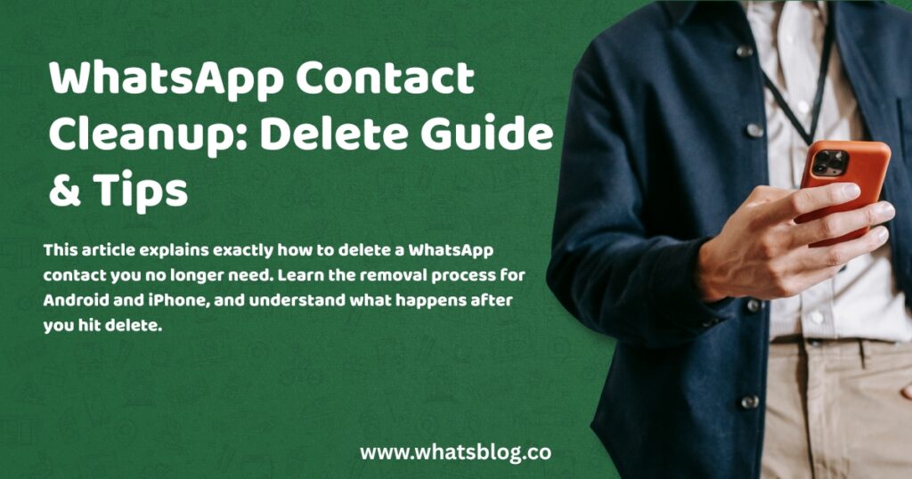 WhatsApp Contact Cleanup Delete Guide & Tips